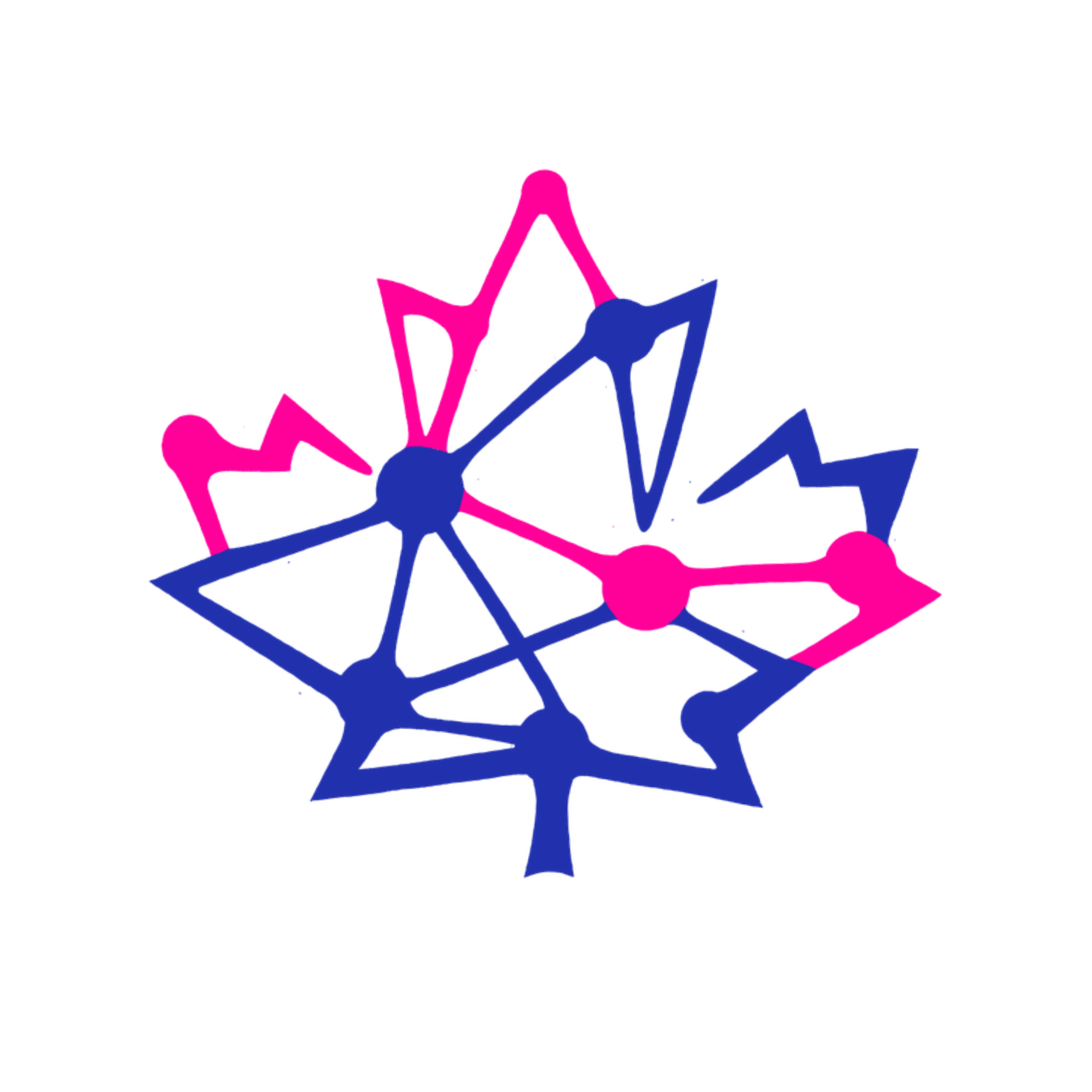 Core Facility Research Initiative